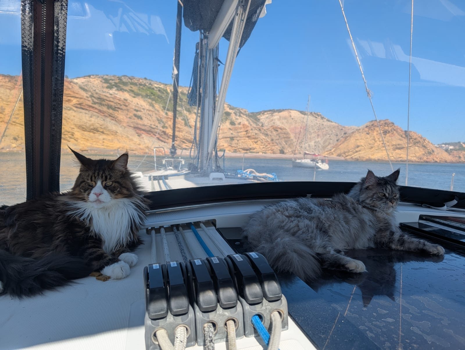 Ash and Ember aboard Soggy Paws